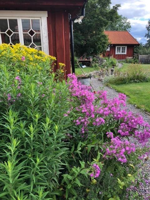 Bed and Breakfast Tystberga Logi Esterno foto